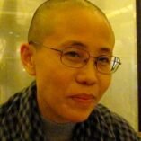 Liu Xia Avatar