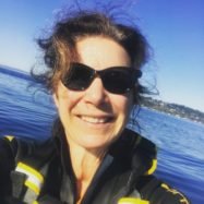 I AM WRITING A LETTER by Martha Silano