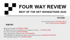 Best of the Net Nominations 2020