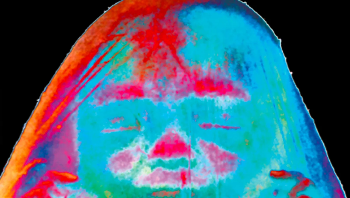 Cover of 'Monk Fruit' : dayglo image of a shrouded head on a black background