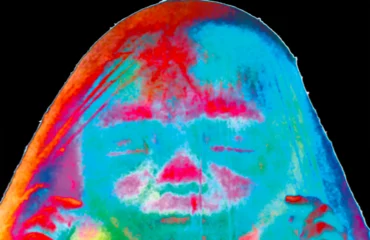 Cover of 'Monk Fruit' : dayglo image of a shrouded head on a black background