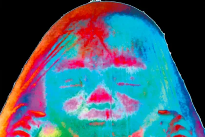 MonkFruitCover Cover of 'Monk Fruit' : dayglo image of a shrouded head on a black background
