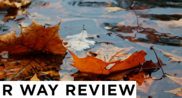 Fallen leaves floating in a puddle on a gray day.