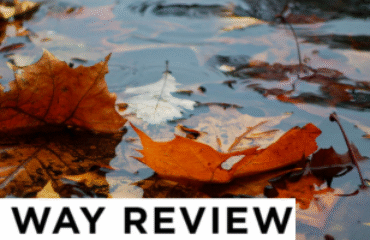 Issue 34 Header Fallen leaves floating in a puddle on a gray day.