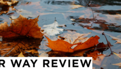 Fallen leaves floating in a puddle on a gray day.