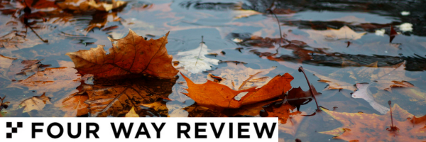 Fallen leaves floating in a puddle on a gray day.